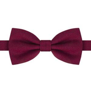 Bavlnený bordový pánsky motýlik His Story