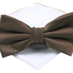 Elegantný hnedý pánsky motýlik Chattier