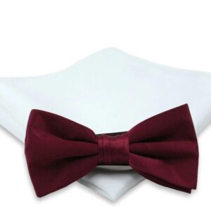 Elegantný bordový pánsky motýlik Chattier